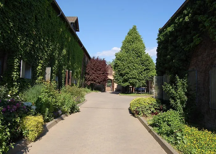 Domane Mechtildshausen *