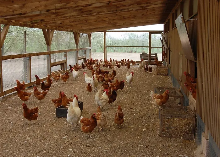 Hotel Domane Mechtildshausen Wiesbaden