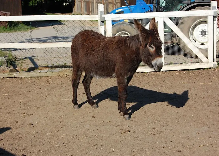 Domane Mechtildshausen Wiesbaden